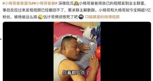 热点爆料杨哥直播视频在哪看,独家观看途径大公开